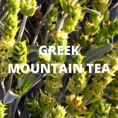 Santorini Tea - Greek Mountain Tea