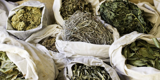 Medicinal Herbs: Science-Based Guide to Healing Plants - Greek Superherbs