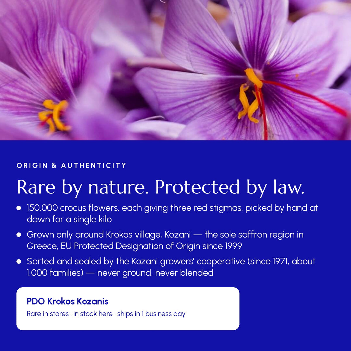 Krokos Kozanis PDO saffron origin — 150,000 crocus flowers per kilo, grown only around Krokos village, Kozani, Greece, protected designation of origin since 1999