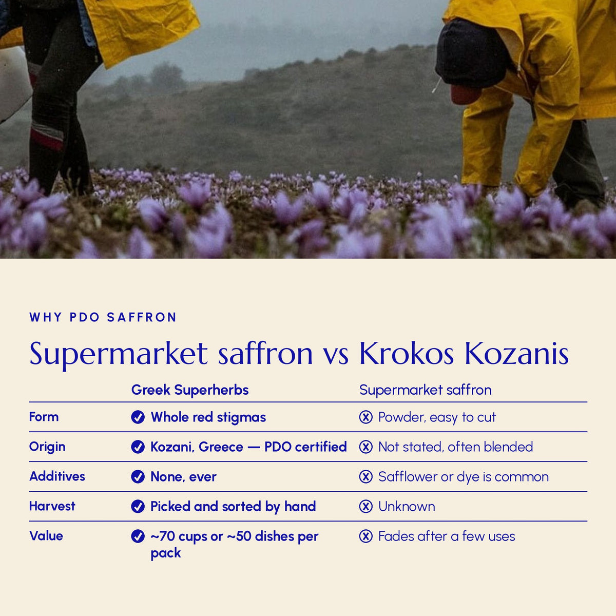 Krokos Kozanis PDO saffron compared with supermarket saffron powder — form, origin, additives, harvest, value