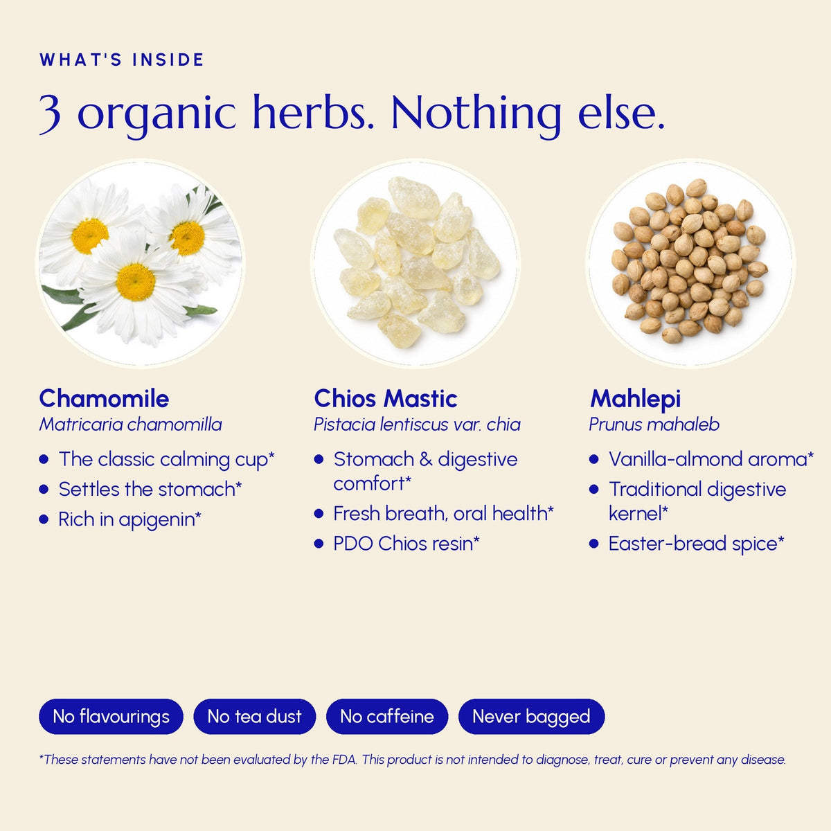 Chios Mastic Gum Tea - Greek Superherbs