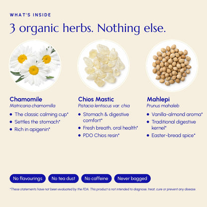 Chios Mastic Gum Tea - Greek Superherbs