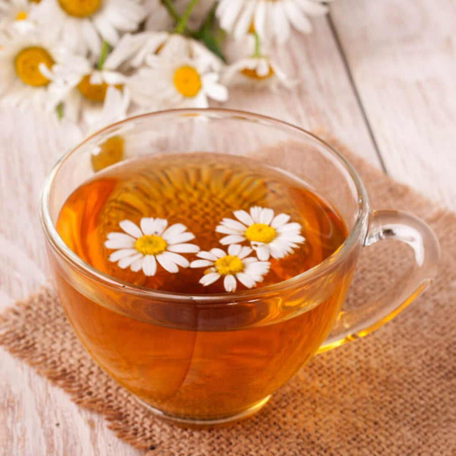 A cup of Chios mastic tea with chamomile flowers
