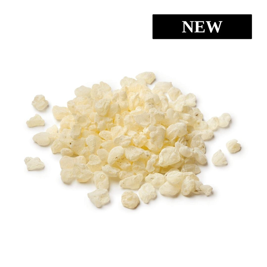 Dried Chios mastic tears