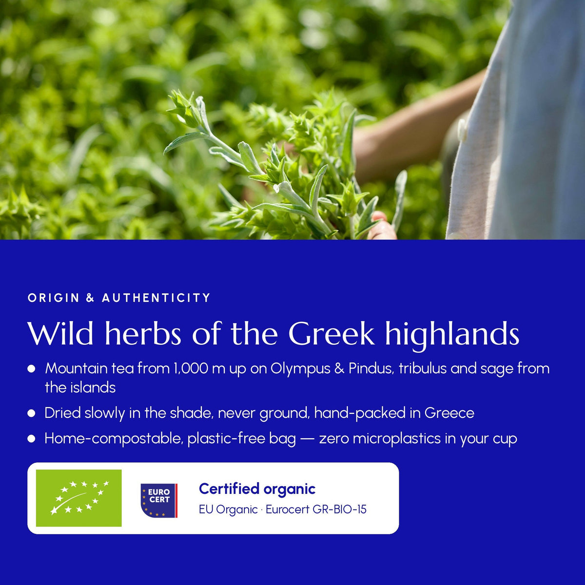 Energy Tea - Greek Superherbs