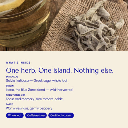 Greek Sage Tea (Ikaria Blue Zone) - Greek Superherbs