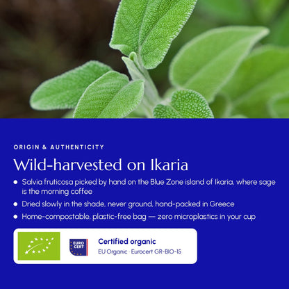 Greek Sage Tea (Ikaria Blue Zone) - Greek Superherbs
