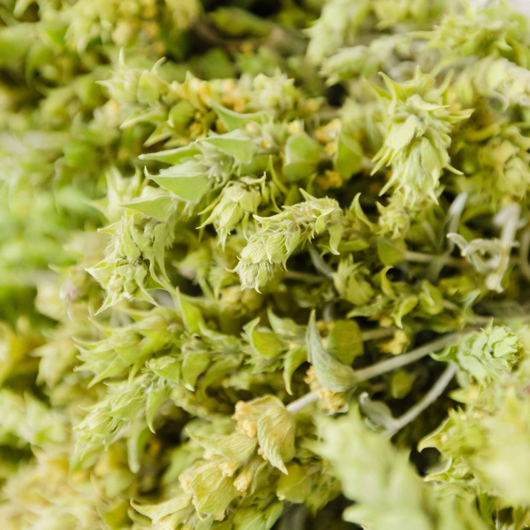 Traditional Greek Herbs