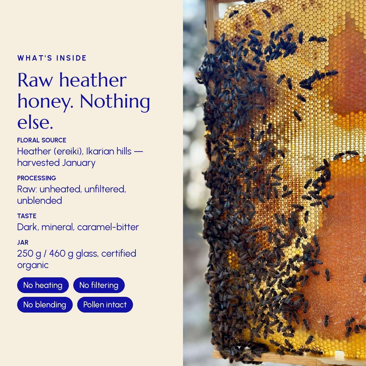 Ikaria Blue Zone Honey Heather (Anama) - Greek Superherbs