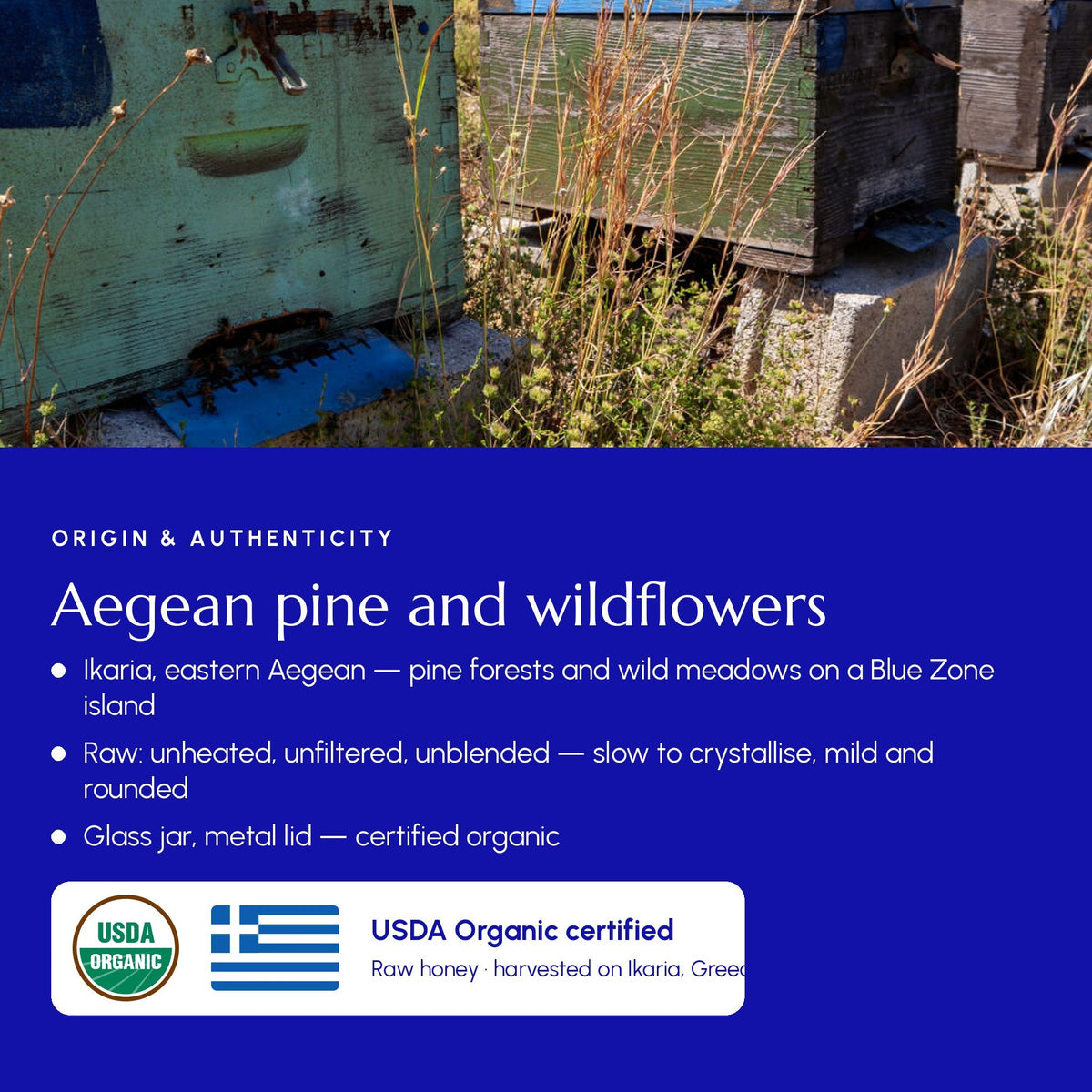 Ikaria Blue Zone Honey Pine & Wildflower - Greek Superherbs
