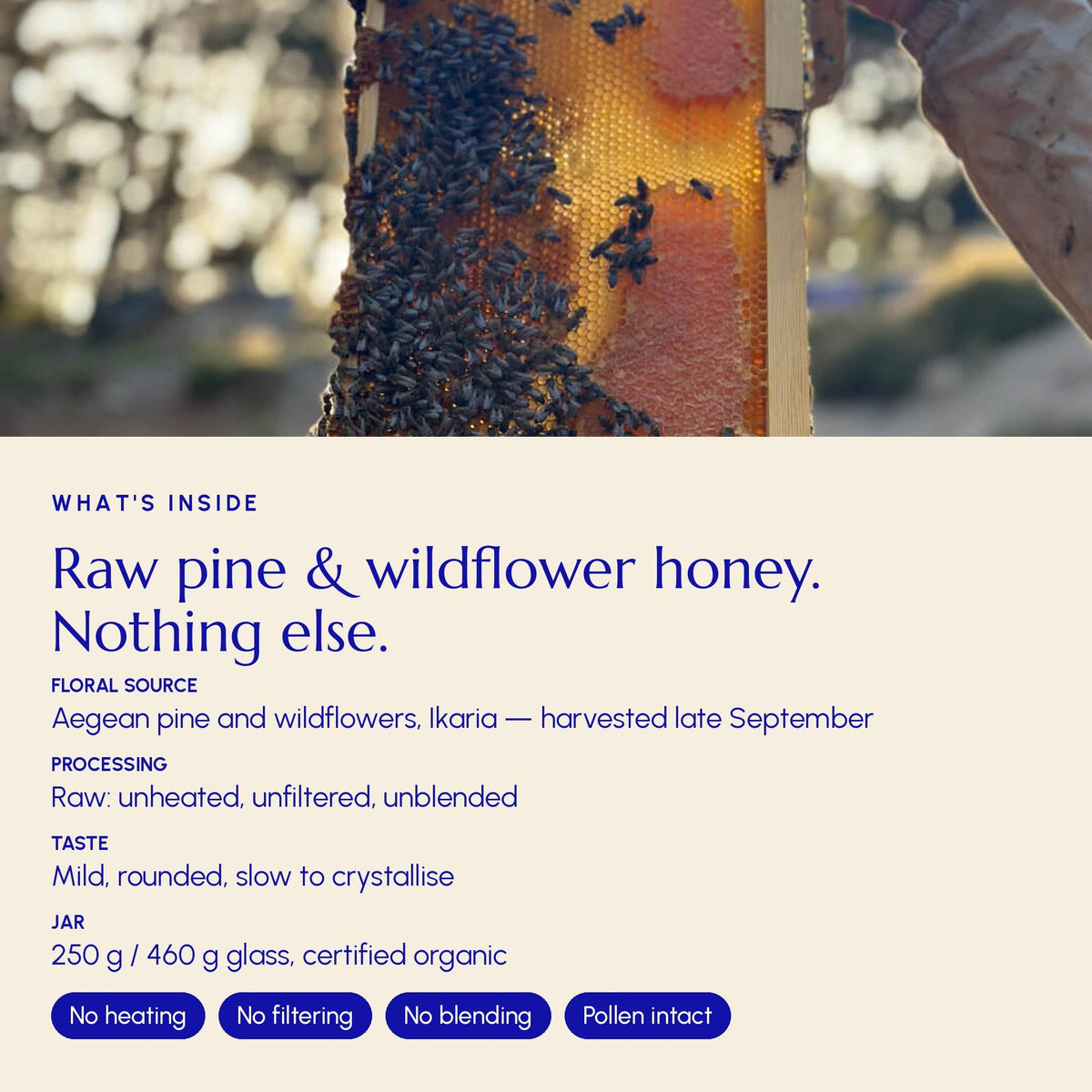 Ikaria Blue Zone Honey Pine & Wildflower - Greek Superherbs