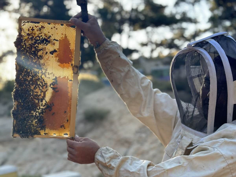 Ikarian bees