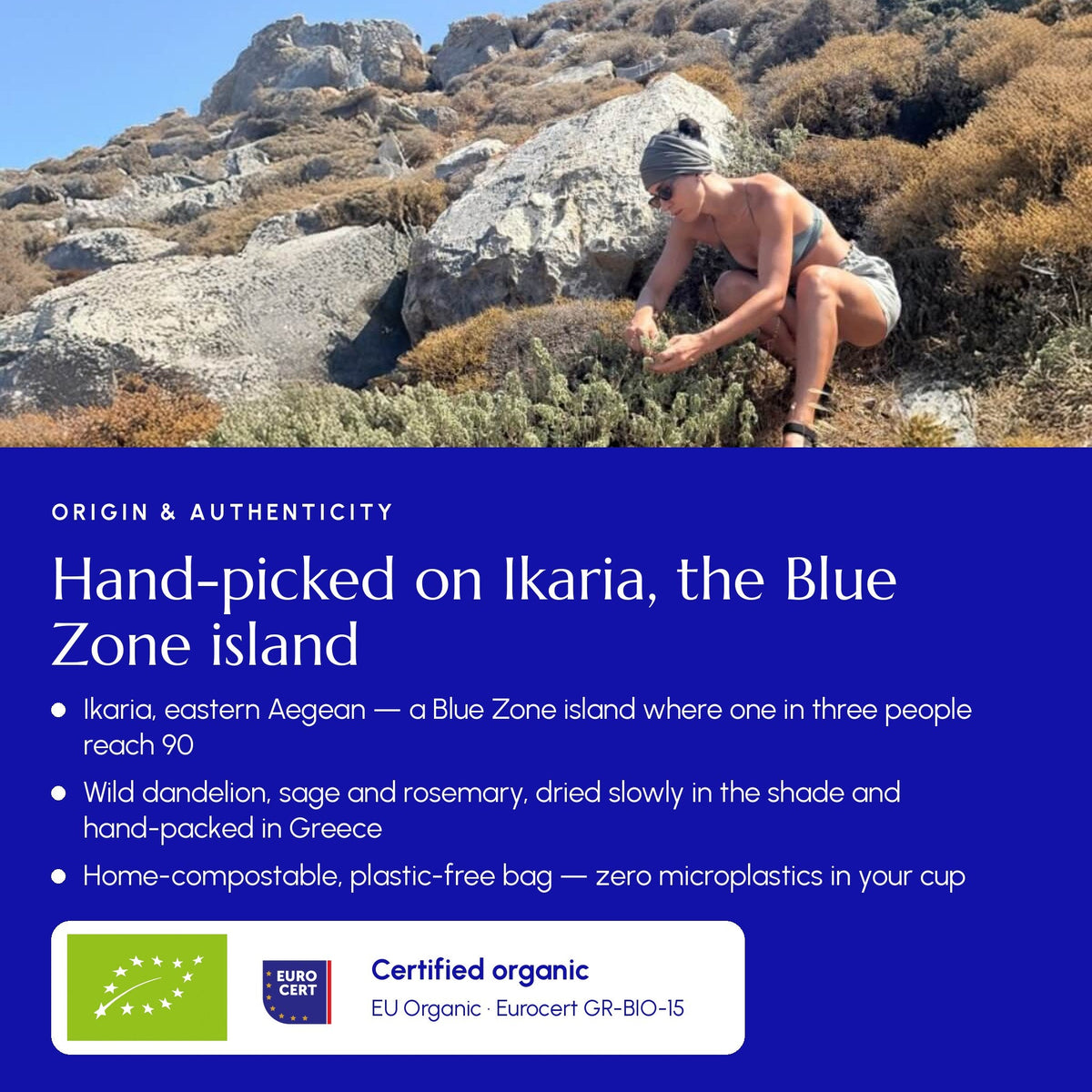 Ikaria Blue Zone Tea - Greek Superherbs