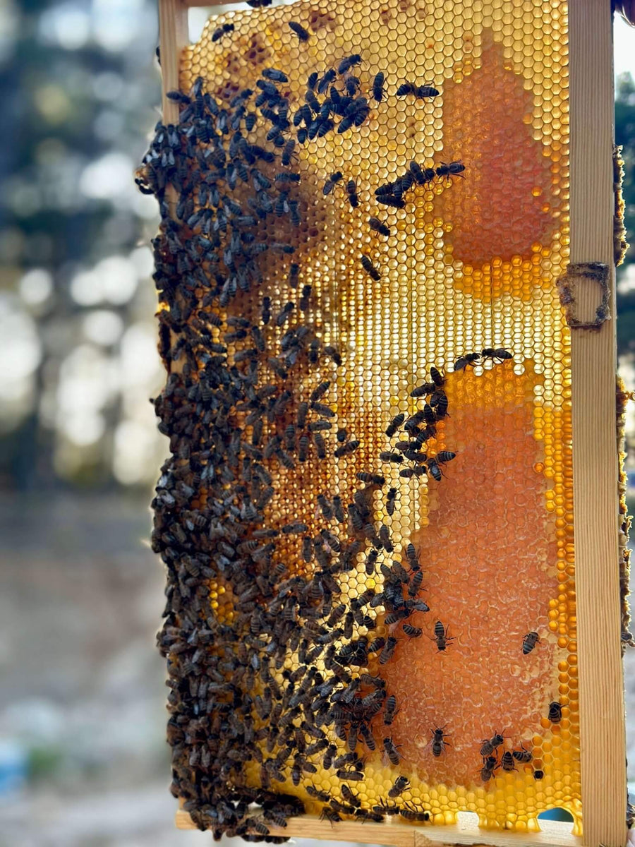 Beehives on Ikaria