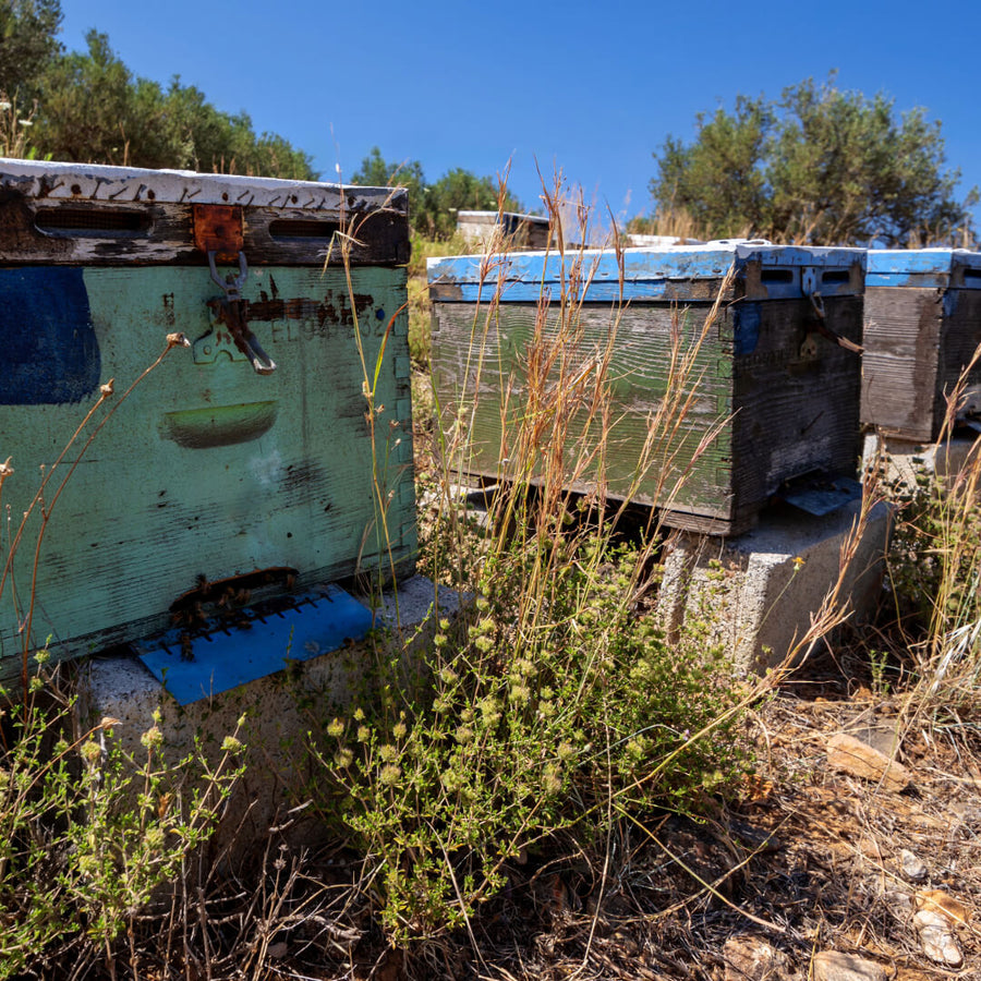 Beehives in an Ikarian village