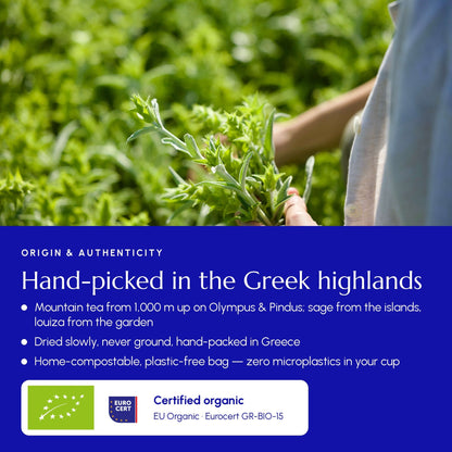 Immune Tea - Greek Superherbs
