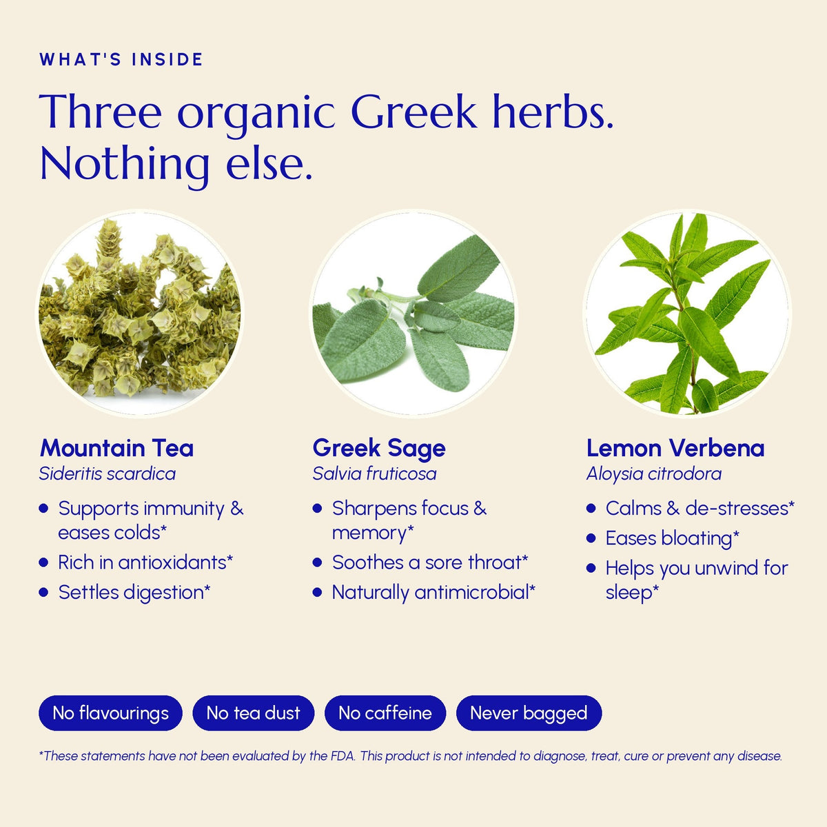 Immune Tea - Greek Superherbs