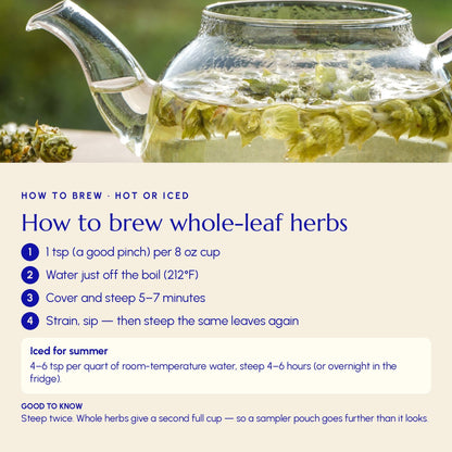 Medicinal Tea Blends Sampler - Greek Superherbs