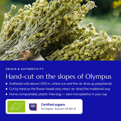 Mountain Tea (Mount Olympus) - Greek Superherbs