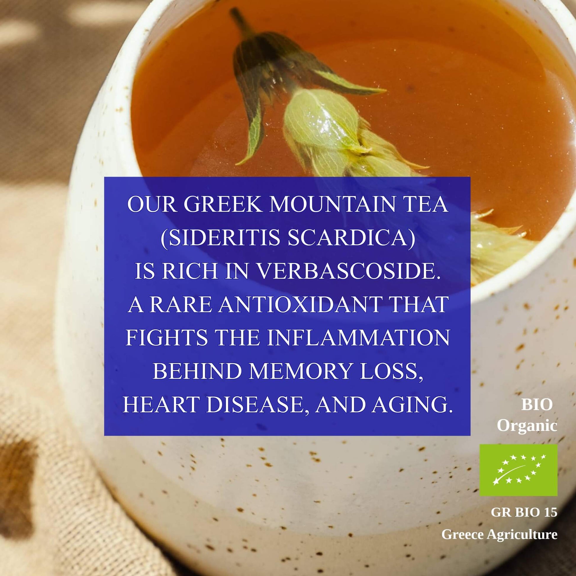 Mountain Tea (Mount Olympus) - Greek Superherbs