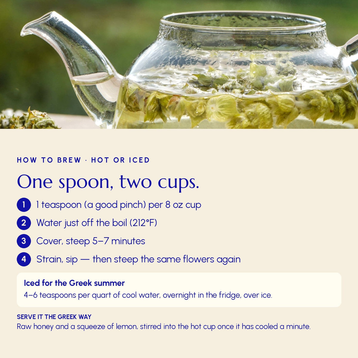 Mountain Tea (Mount Olympus) - Greek Superherbs
