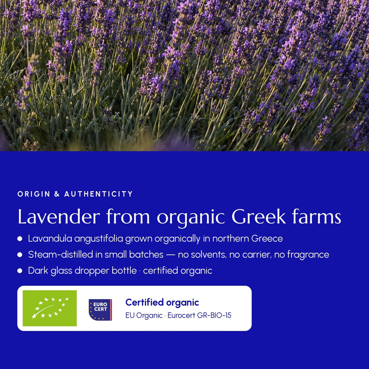 Organic Greek Lavender Essential Oil | Steam Distilled - Greek Superherbs