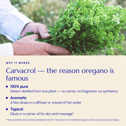 Organic Greek Oregano Essential Oil | High Carvacrol - Greek Superherbs