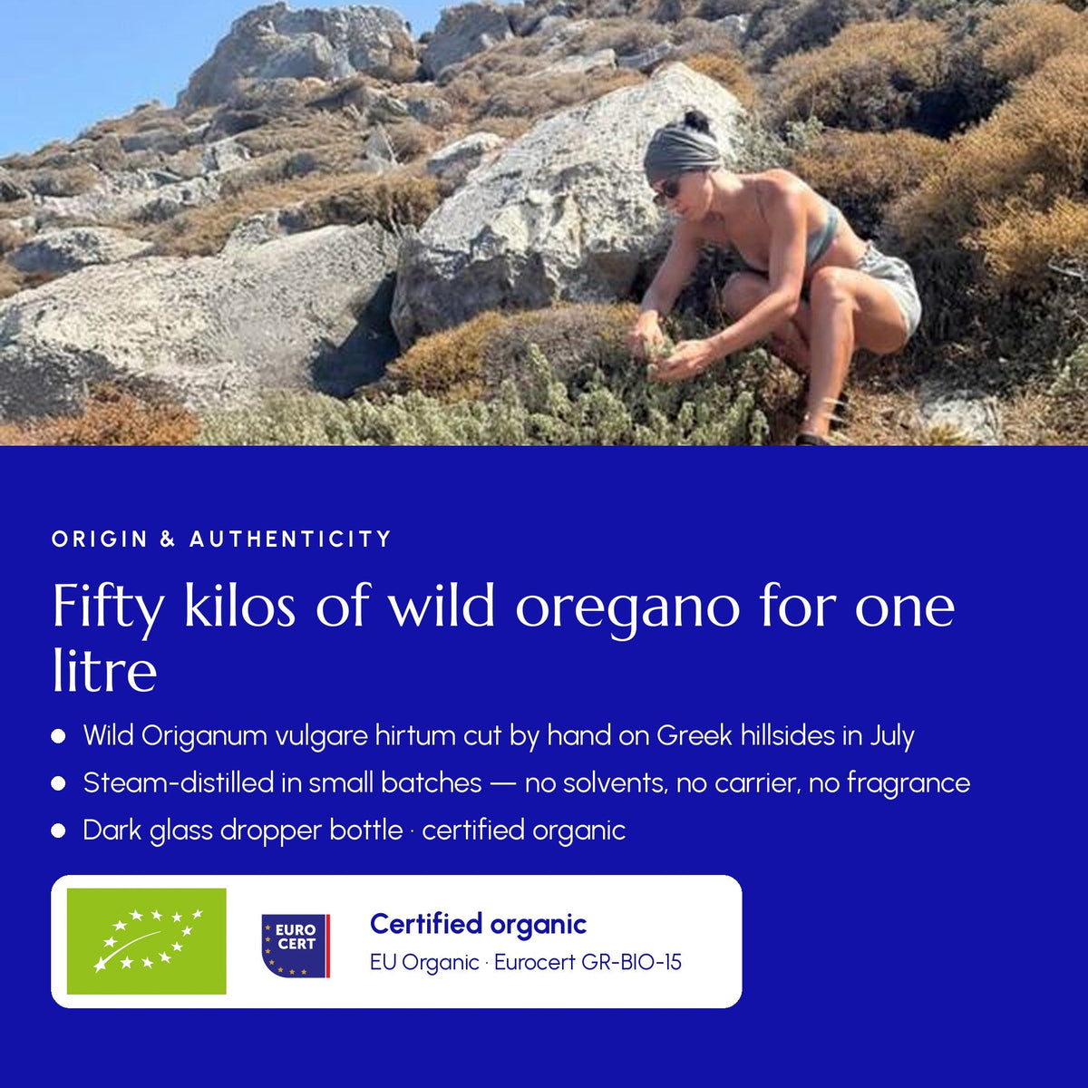 Organic Greek Oregano Essential Oil | High Carvacrol - Greek Superherbs