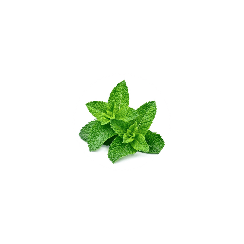 Organic Peppermint