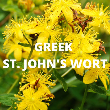 Mood Tea - Greek ST. John's Wort